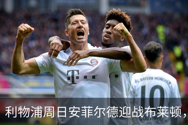 利物浦周日安菲尔德迎战布莱顿，预计改打4-2-3-1